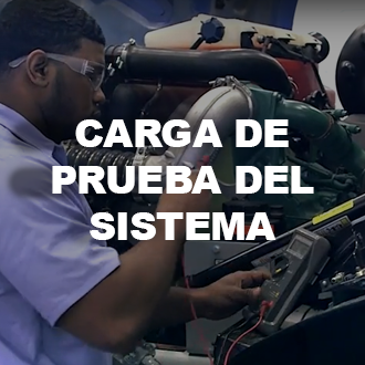 Carga de Prueba del Sistema