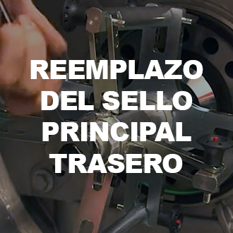 Reemplazo del Sello Principal Trasero